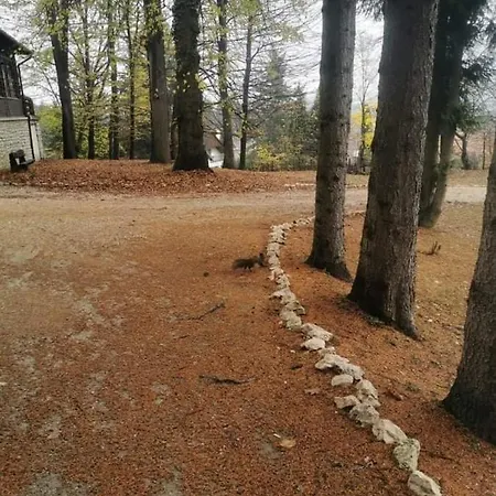 Deja Vu Szallas & Rendezveny *