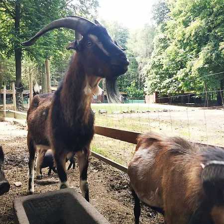 Déjá Vu Szállás&rendezvény Campeggio