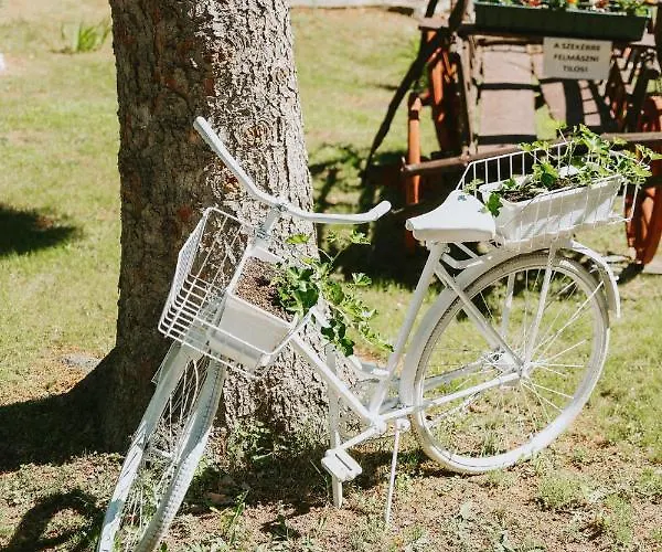 Campsite Deja Vu Szallas & Rendezveny