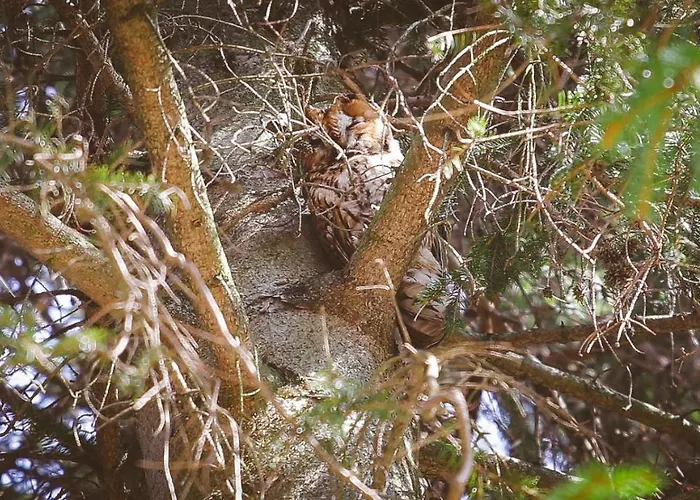 Campsite Deja Vu Szallas & Rendezveny *